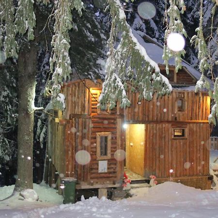 פלאב Pinetrees Lodge מראה חיצוני תמונה