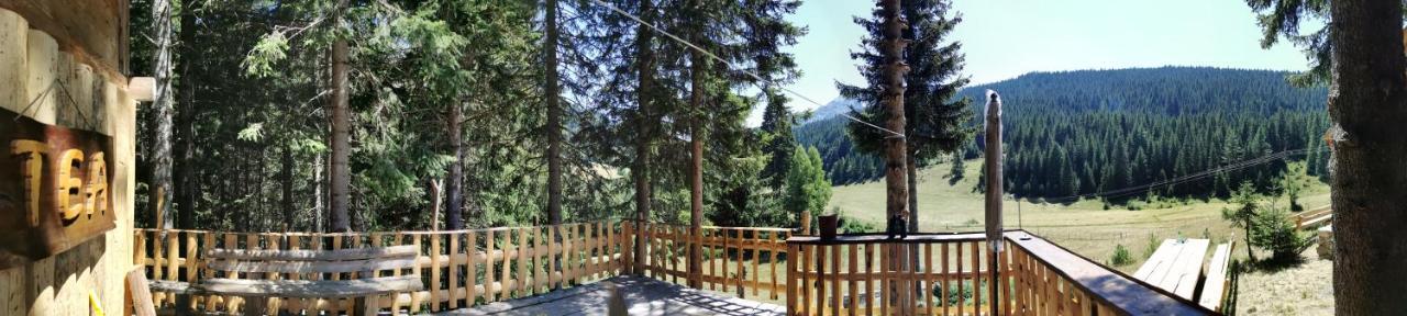 פלאב Pinetrees Lodge מראה חיצוני תמונה