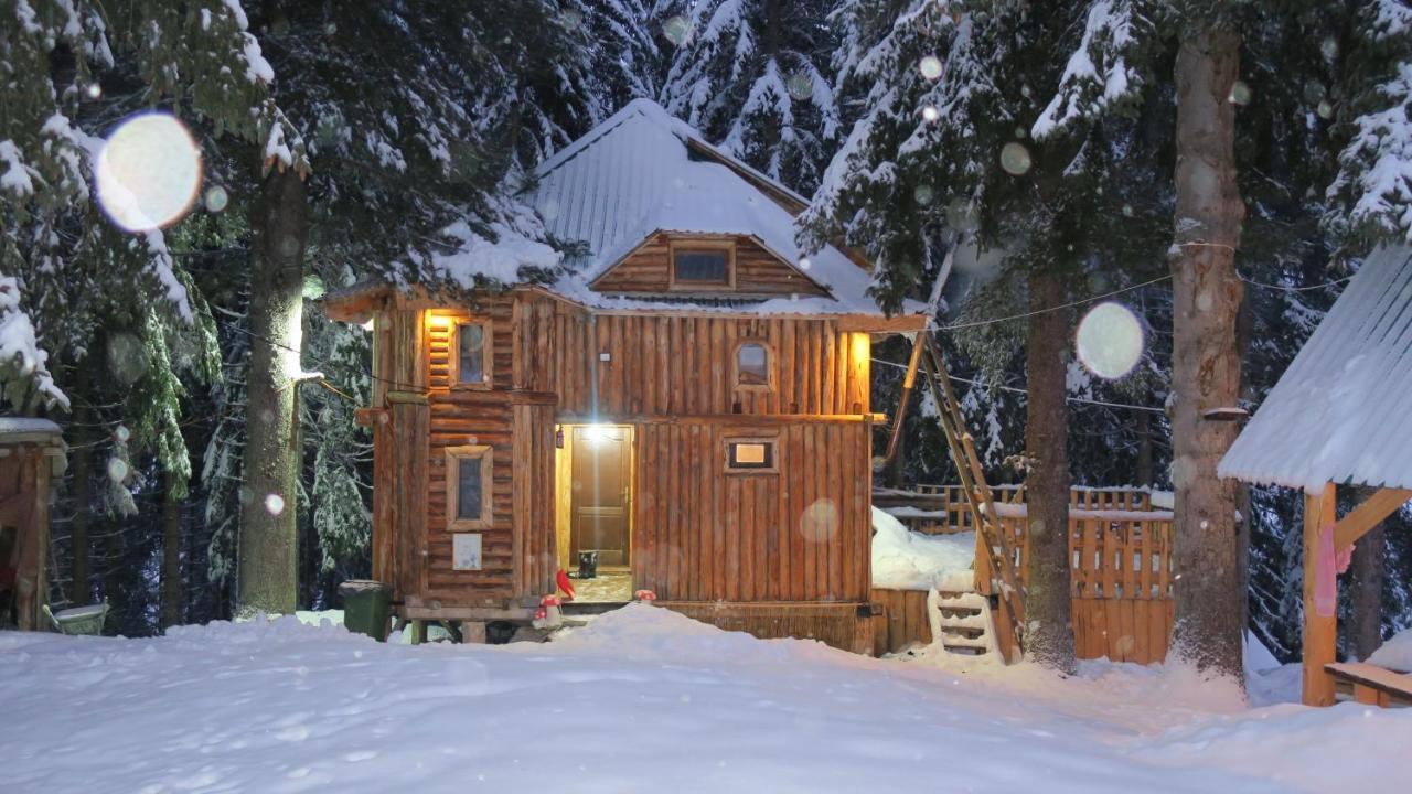 פלאב Pinetrees Lodge מראה חיצוני תמונה