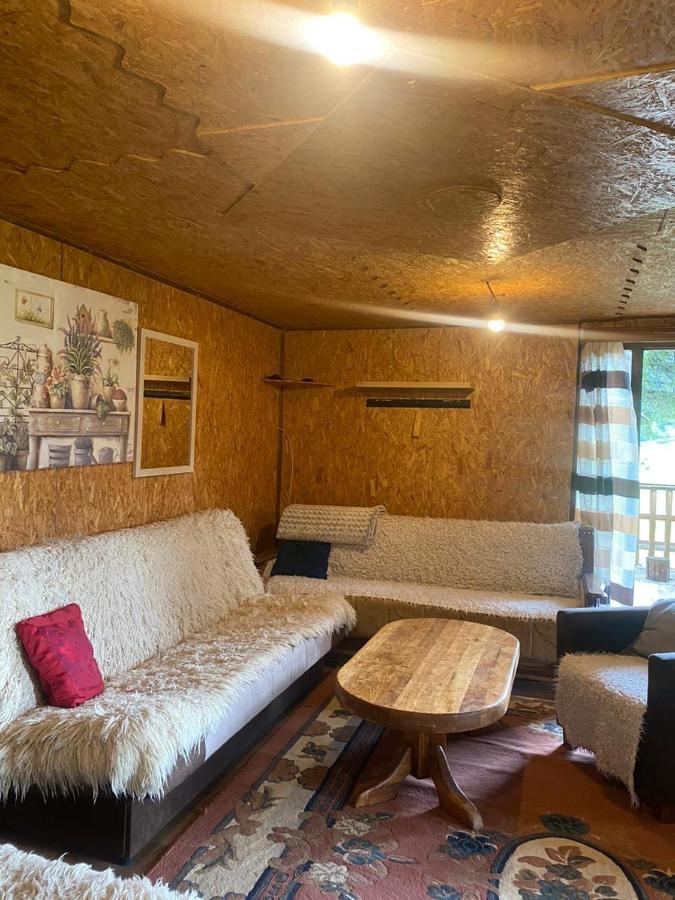 פלאב Pinetrees Lodge מראה חיצוני תמונה
