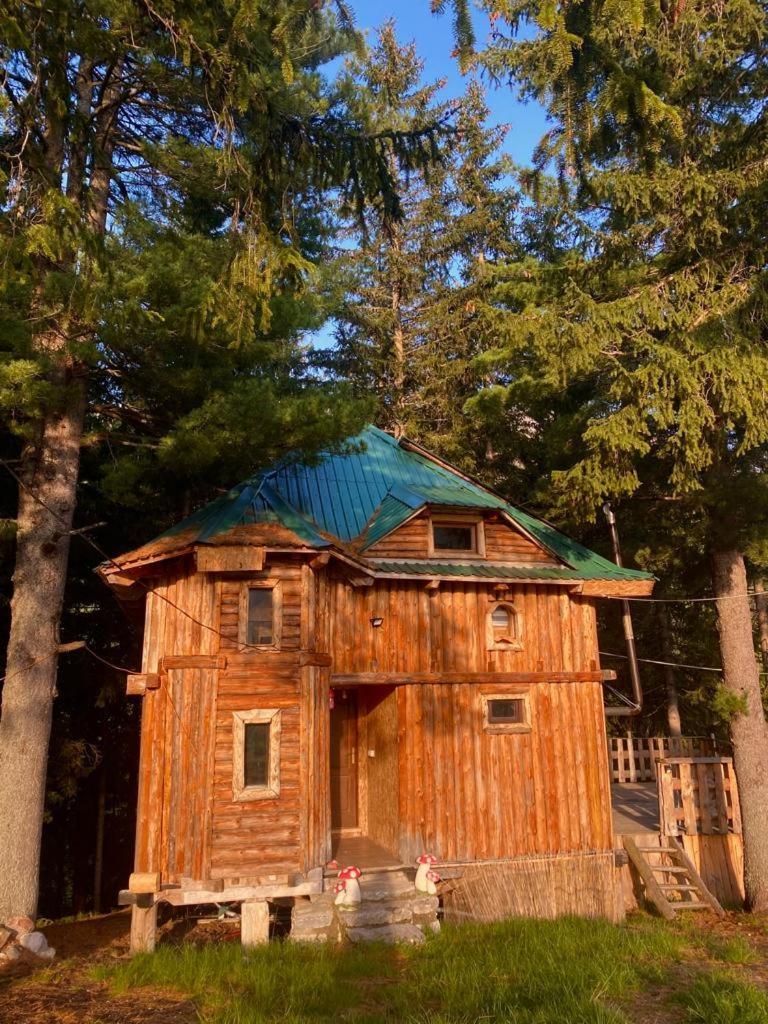 פלאב Pinetrees Lodge מראה חיצוני תמונה